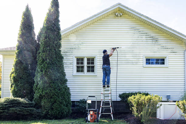 Best Fence Pressure Washing  in Milliken, CO