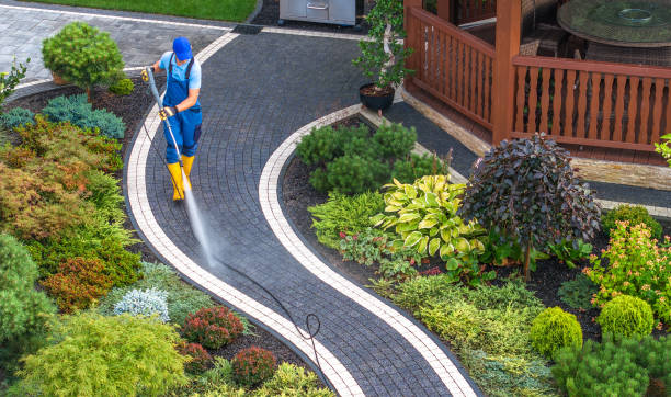Best Power Washing Near Me  in Milliken, CO